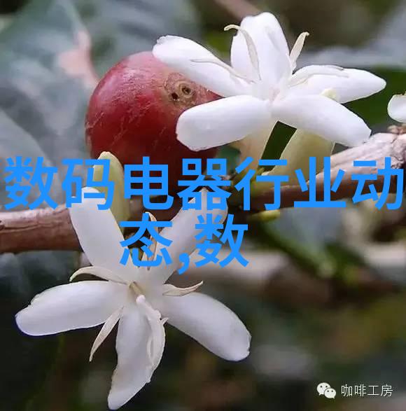 化工注射剂机械现代制药工业的关键技术与应用