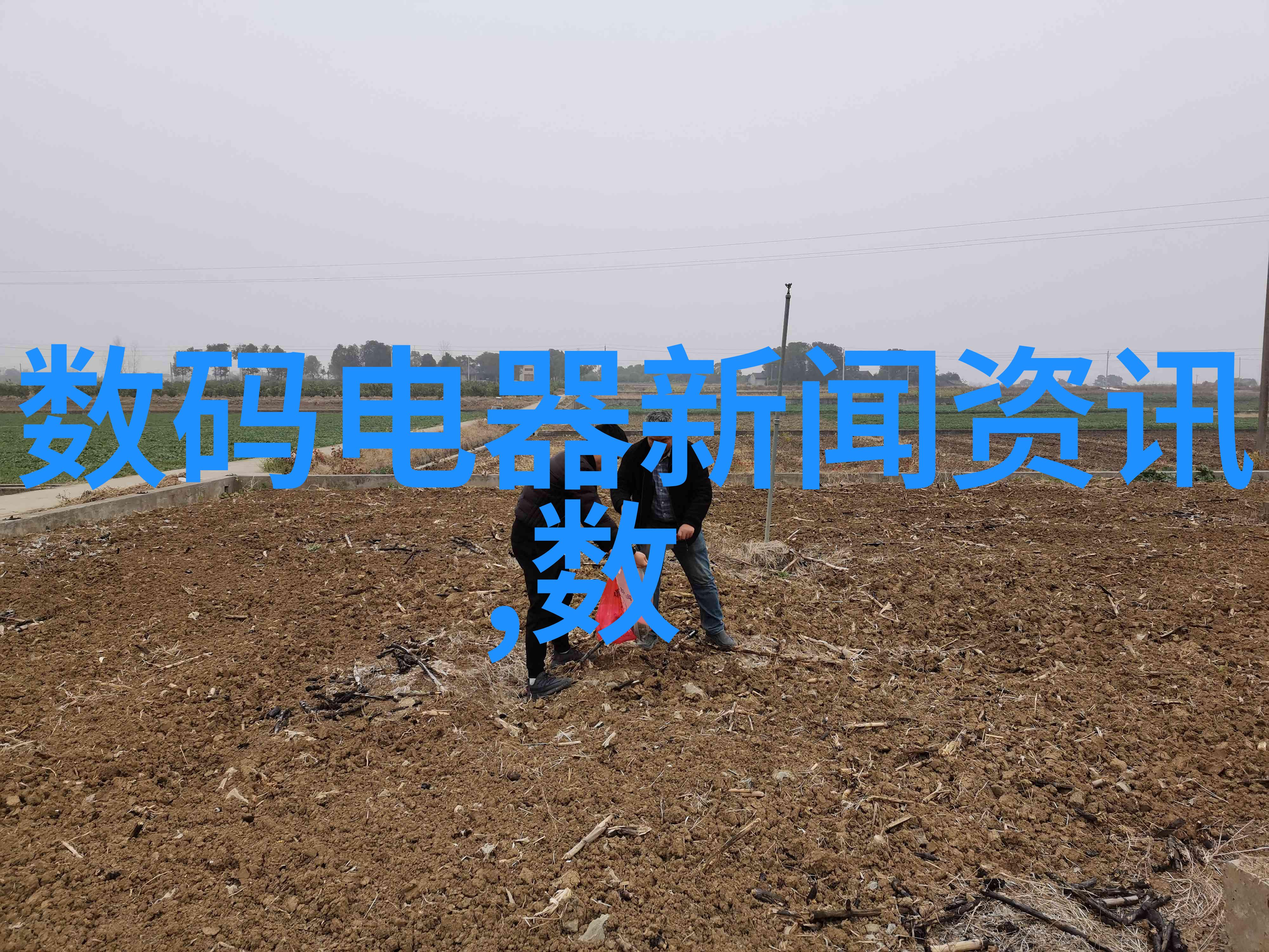 跨部门协作经验的年度工作总结分享会策划方案