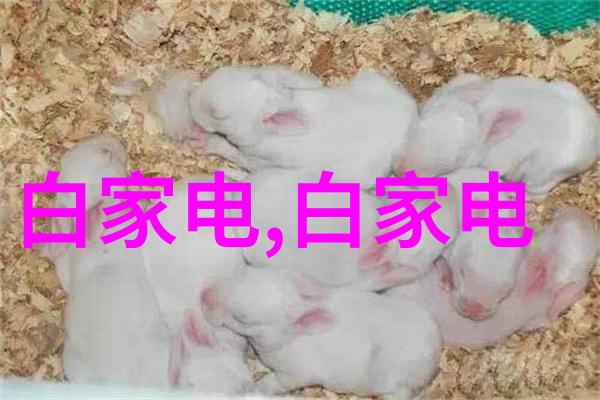 规整填料型号精选提升混凝土结构稳定性与美观度的关键要素