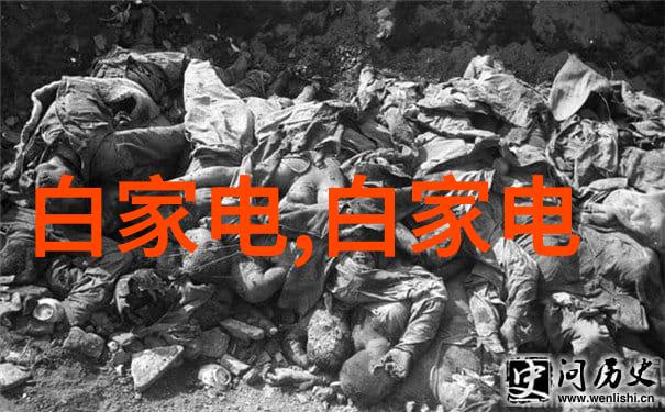 人类智慧与机器力量探索AI永不疲倦的秘密