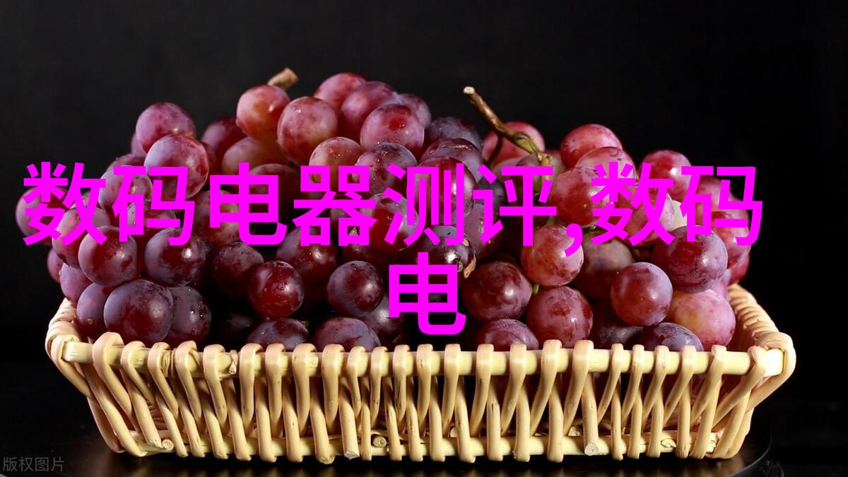 项目资金申请报告详细分析与实施方案