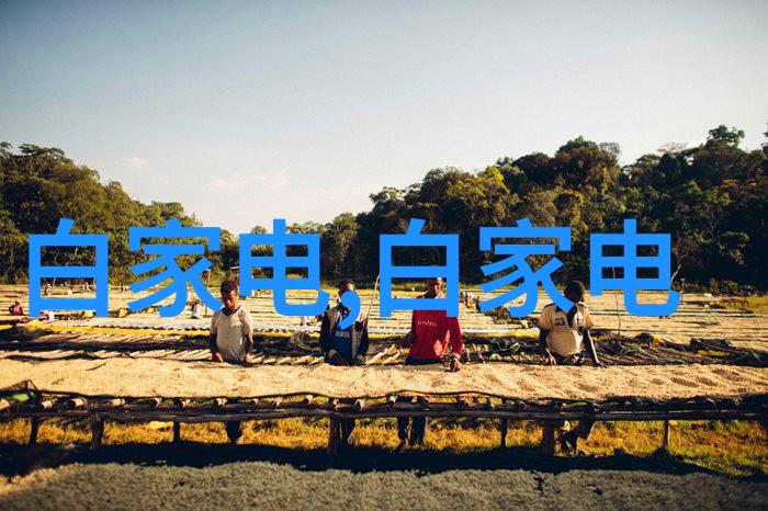 膏药机械的秘密揭秘其神奇功效与未来发展趋势