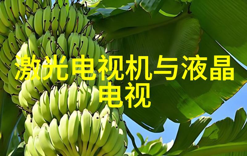公孙离欢迎会-温暖的告白公孙离的意外邂逅