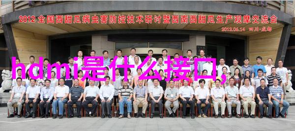 社区服务与社会责任学校志愿者工作在行动中的展现