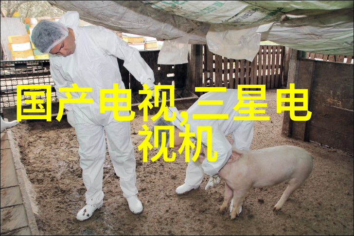 彩钢板的应用与优势分析
