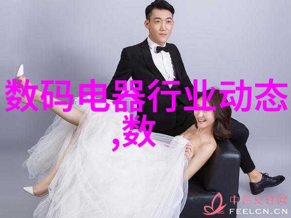 探究时尚界的创新之翼穿戴类物品的发展与未来趋势分析