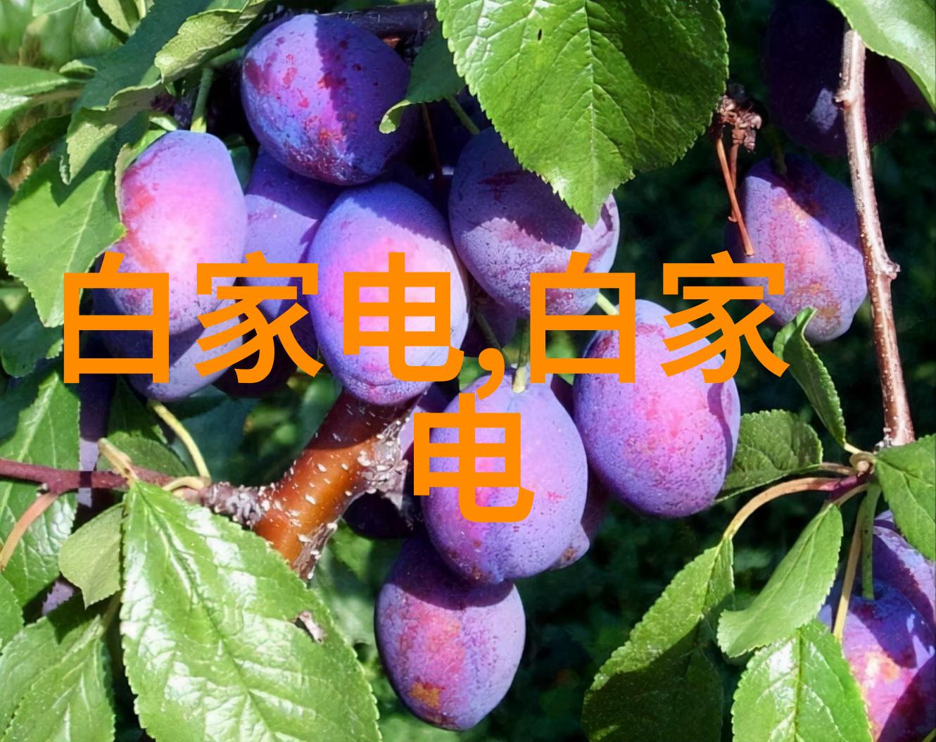 水质检测总配比水质检测中的总配比参数