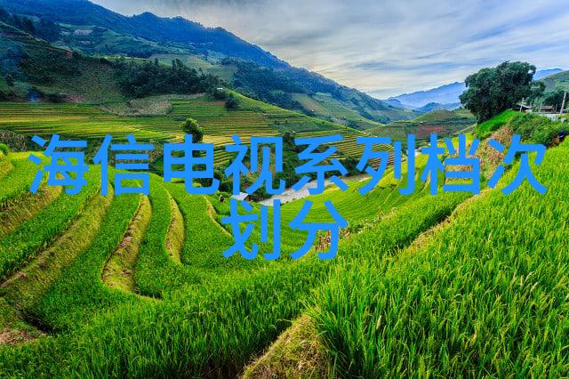 智能健康监测可穿戴设备的先进传感技术