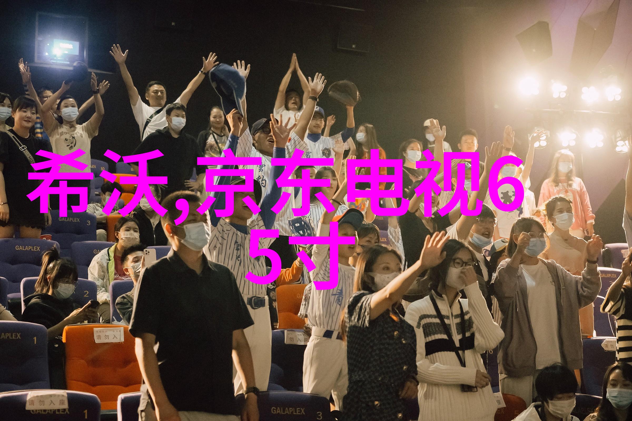在小型房间中实施双人床位安排有哪些建议可以帮助我画出理想的卧室装修图
