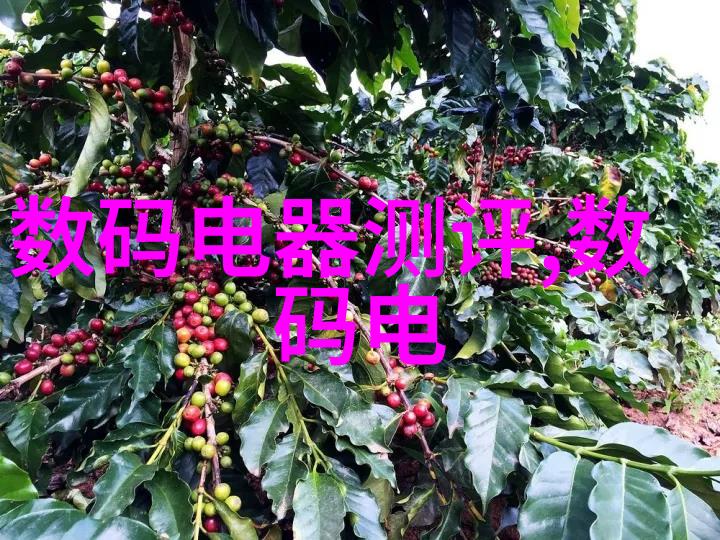 色谱填料的选择原则是什么