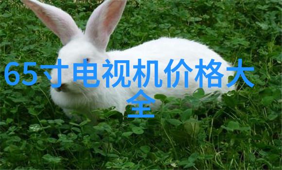 最专业的空气净化器-超级清新揭秘高效除异味与微粒技术