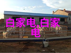 绿色智能装备制造创新的技术与环保的未来