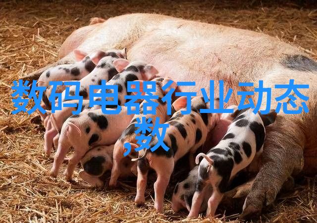 环保生产绿色自动化输送设备革命izing 工业标准