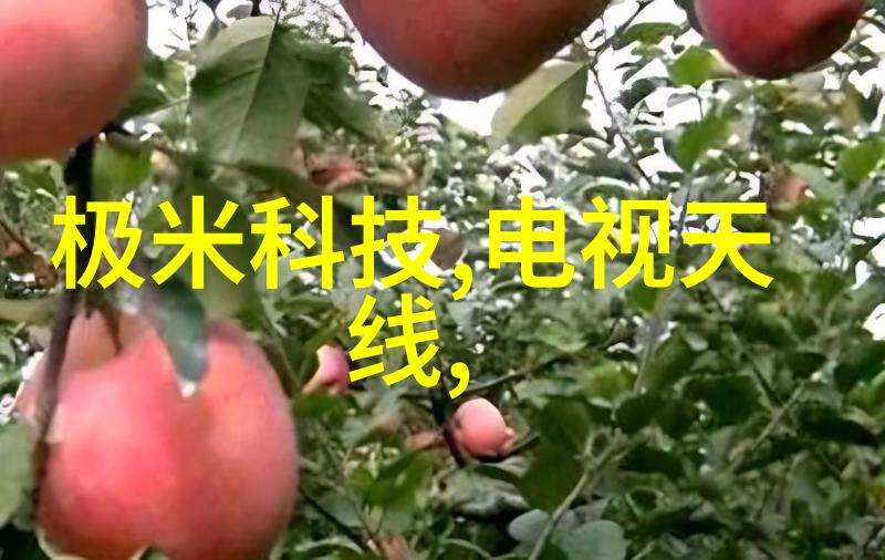 啊看着我是怎么C你的我的编程小白日记