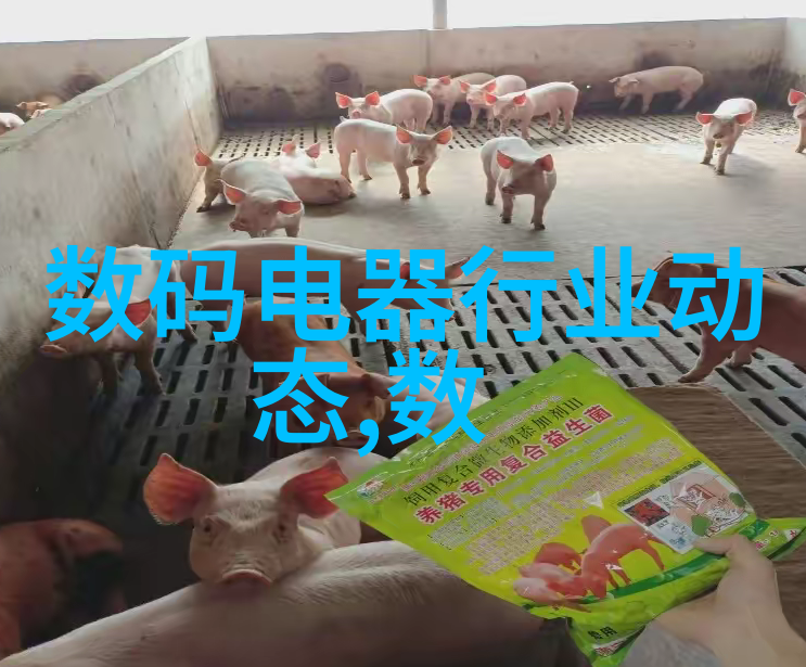 现代家居生活的完美融合阳台厨房装修效果图解析