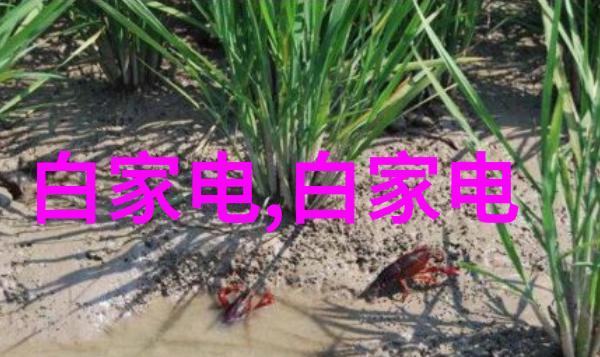 中电信息科学研究院深度学习技术与应用中电信息科学研究院的前沿深度学习技术及其在各行业的创新应用