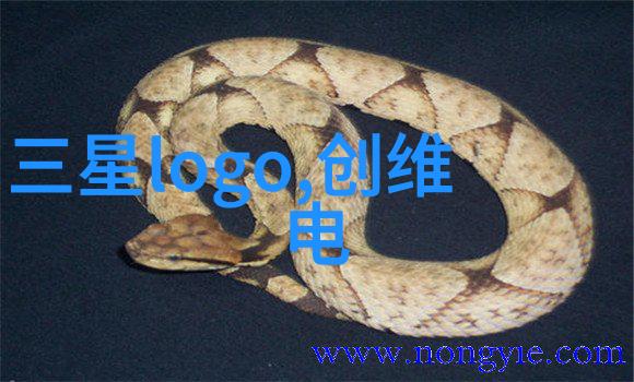 提升机厂家精益生产的技术引领者与创新驱动者