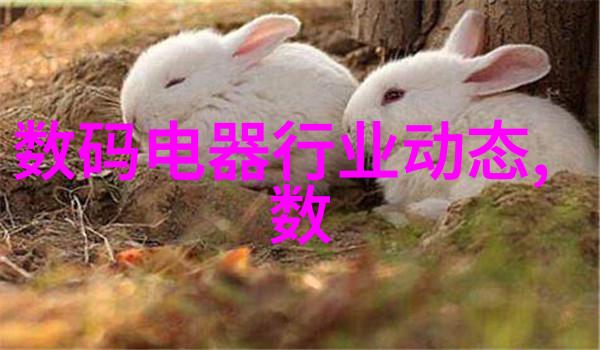 水管市场探秘6分PVC管的真实价格