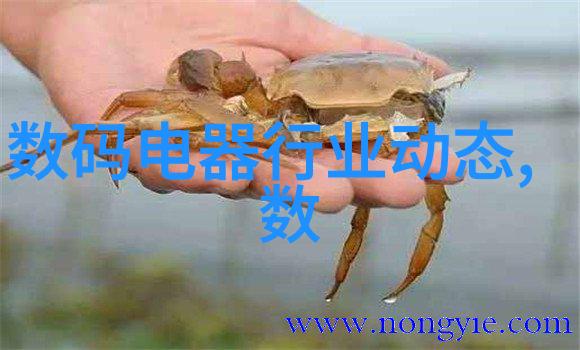 化工管件我是怎么搞定那些复杂的管道连接