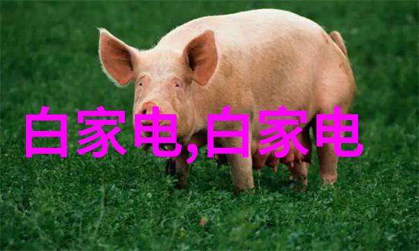 实验室常用设备探秘科研的精灵们