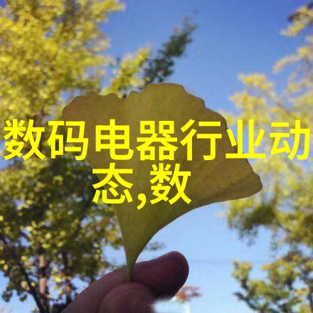 从新人到高手我的个人工作成长轨迹