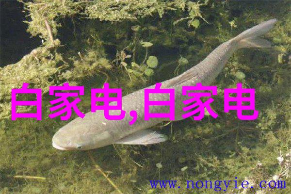 如何确保华为运动健康手表app下载的隐私