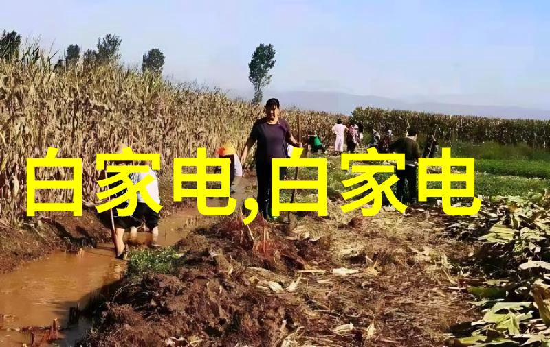 水位显示仪确保安全的水量监测专家