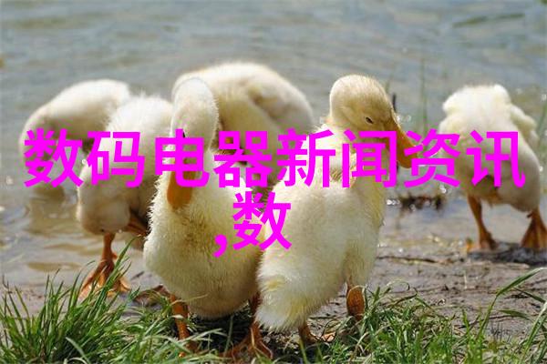 完善建设工程项目管理规范确保施工顺畅与质量安全