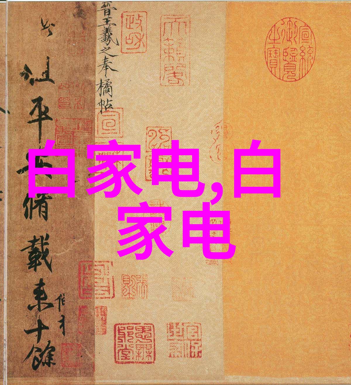 中国科学技术大学的国际化教育政策是什么样的以及实施效果如何