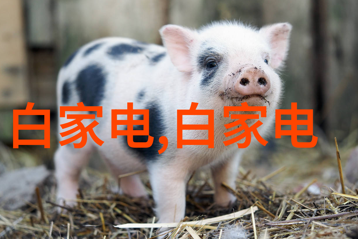vocs废气处理工艺高效去除有机物质的生物活性滤床技术