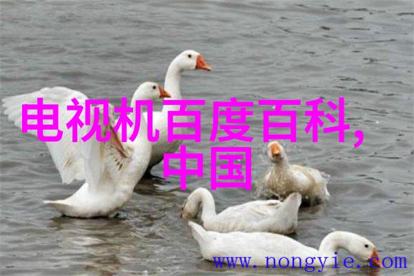 芦山地震