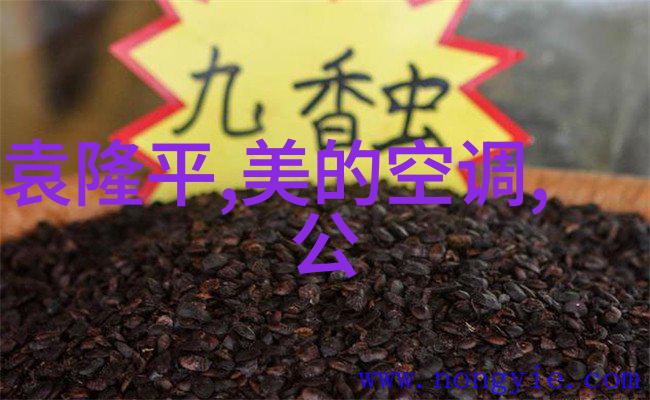 西安财经大学探索现代经济学教育的典范