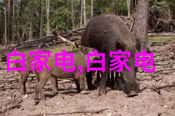化工反应釜工作原理-化学反应的容器如何高效合成有机物质