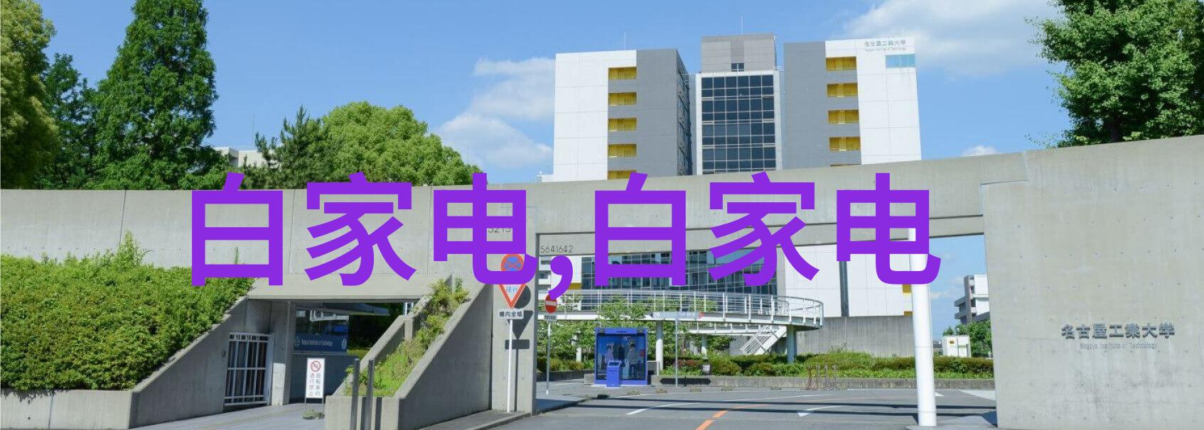 把葡萄一粒粒推入坚持住我要跟你说一个关于努力的小故事