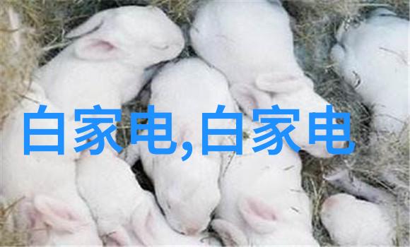 食品灭菌设备技术公司-高效杀菌新纪元食品灭菌设备技术的创新发展