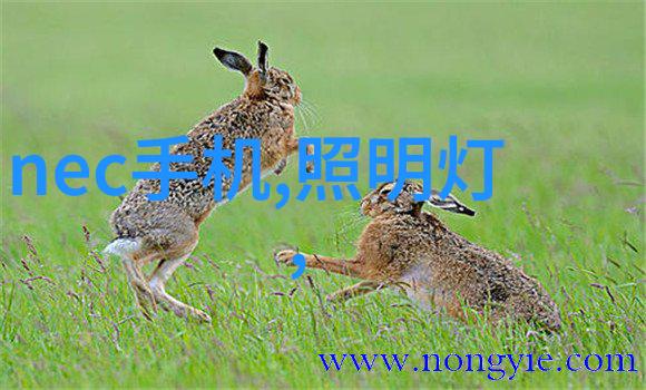 麻豆产精品一二三产区区-探索台南市麻豆区高品质农业的秘诀与魅力