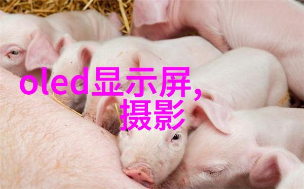 南京信息职业技术学院梦想工程师的摇篮