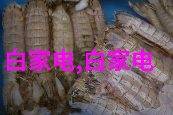 五道口职业技术学院培养技能型人才的摇篮