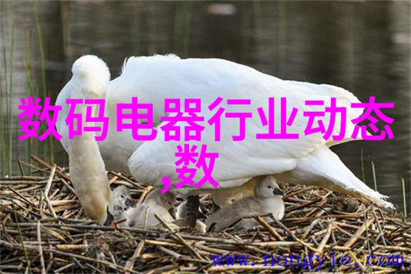 安徽财经大学金融学科的领航者与创新引擎
