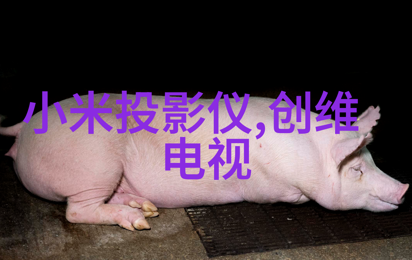 皮带输送机物流之翼的翅膀