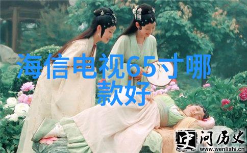水电维修技艺守护家园的节流之手