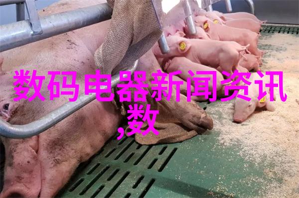 空间美学如何通过设计装修提升家居品质
