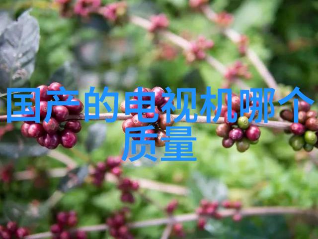 在环境监测方面智能传感器能够提供哪些独特功能和数据分析能力