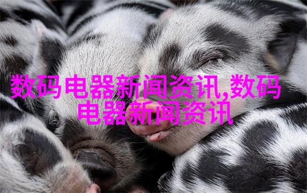 欧式奢华风格
