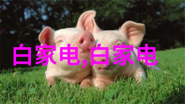 防腐涂塑钢管厂家保障工程品质的坚固选择