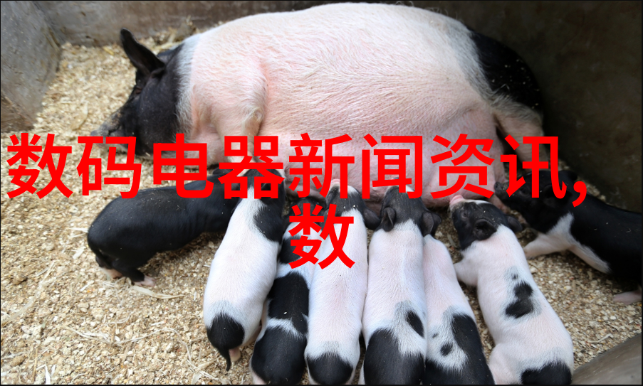 海德公司与宜兴当地大学合作共建创新中心
