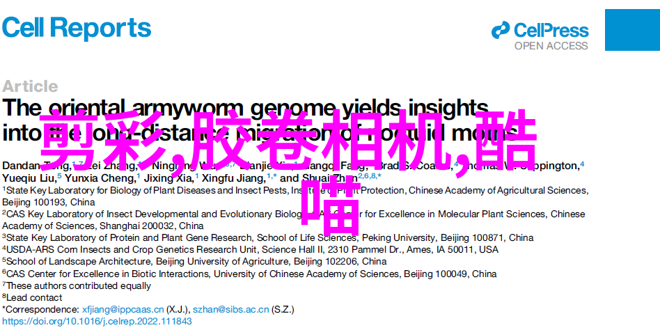 时尚与科技交融数字化后的时代背景下的人物特效应用研究