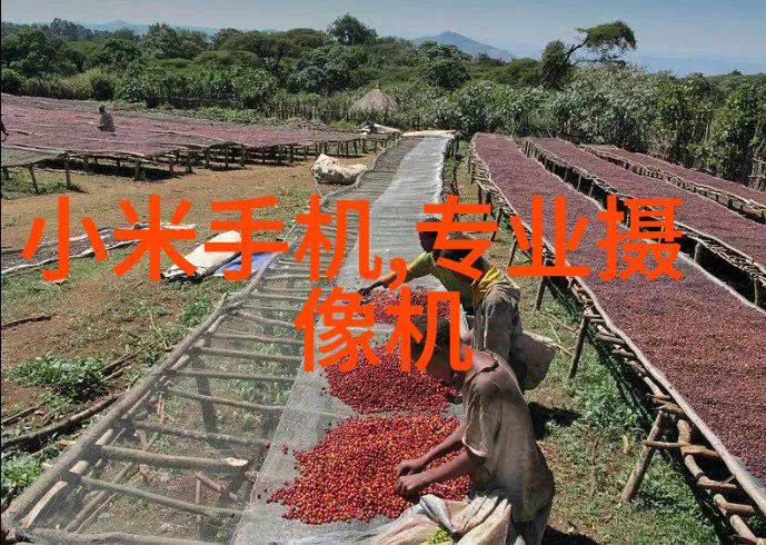 建筑电气-智慧照亮未来建筑电气设计的创新与实践