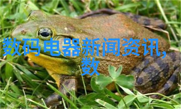安卓市场应用智能生活的便捷探索者