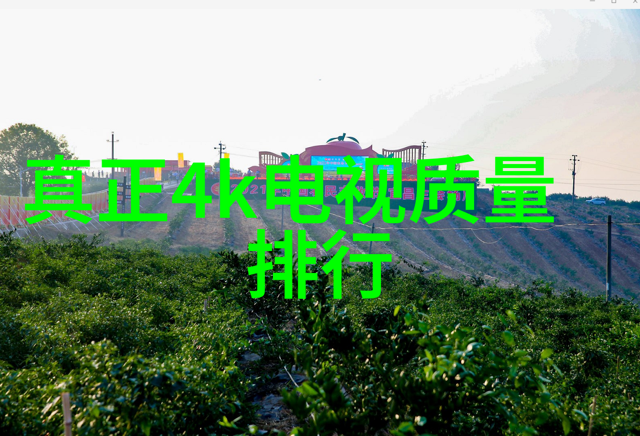超级相机的巅峰之作RX100系列的创新与魅力